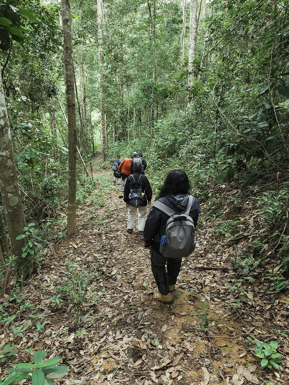 Natural Study Hiking